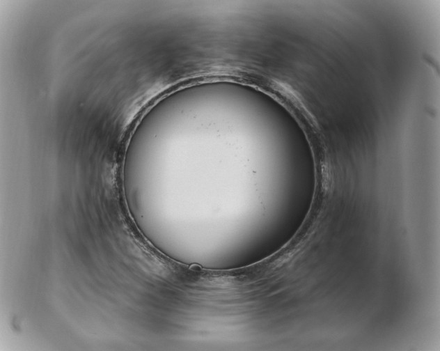 X0000103281260200808291304