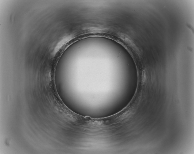 X0000103281261200808291304