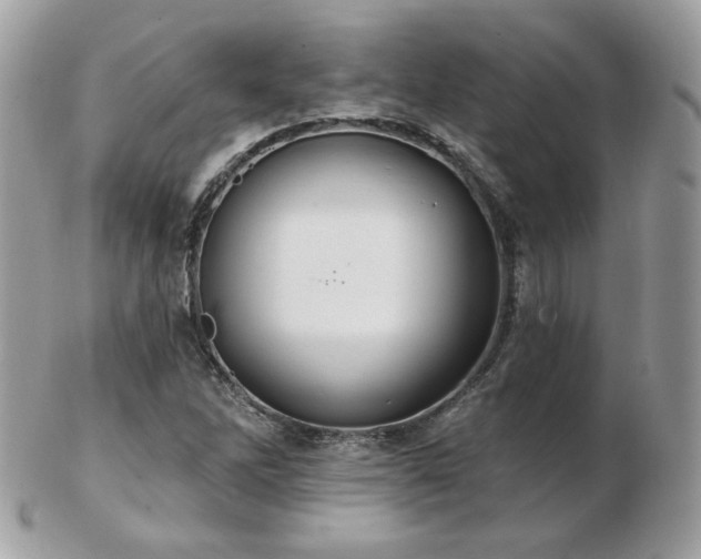 X0000103281262200808291304