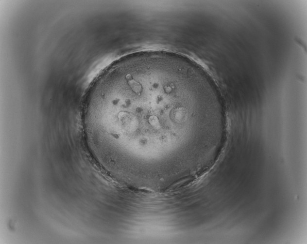 X0000103281263200808291304