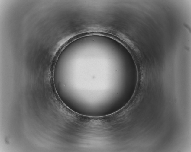 X0000103281264200808291304