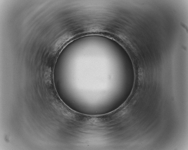 X0000103281265200808291304