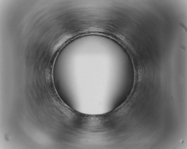 X0000103281266200808291304