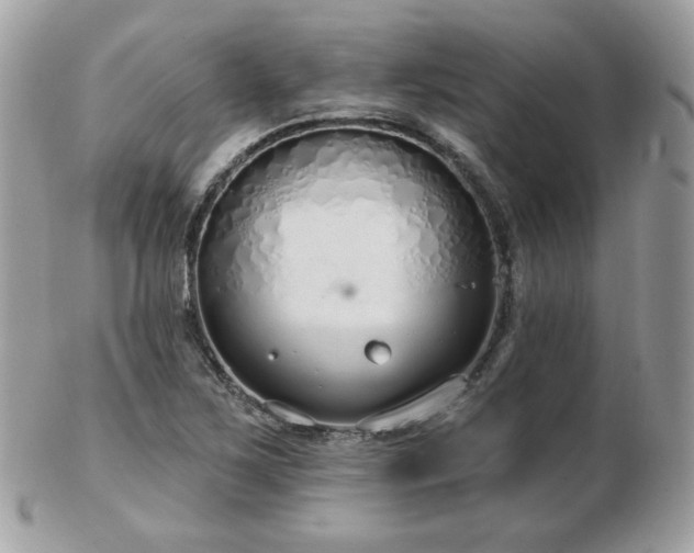 X0000103281267200808291304