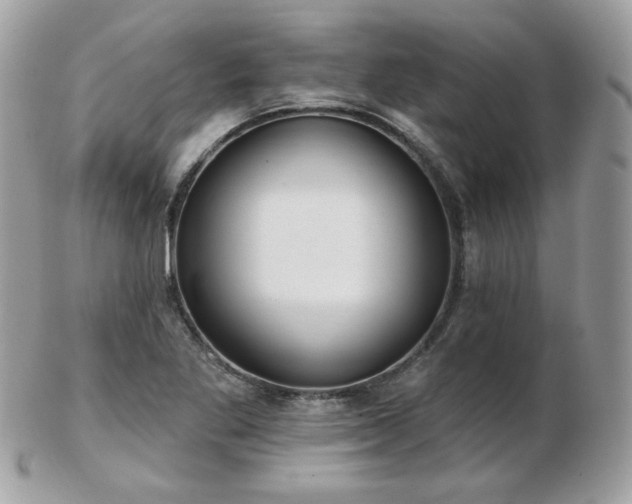 X0000103281269200808291303