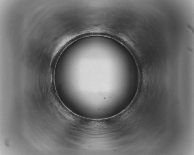 X0000103281270200808291303