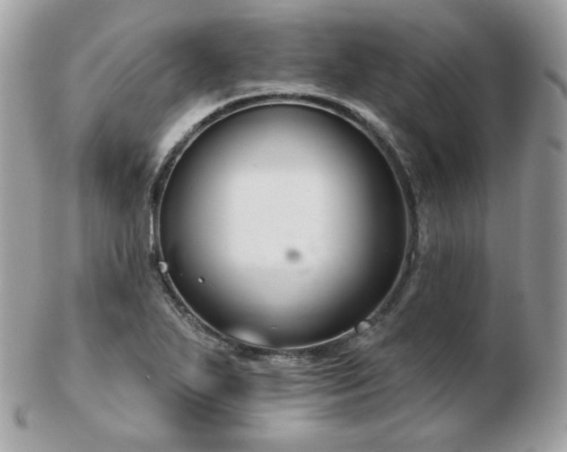 X0000103281271200808291303