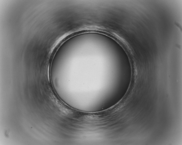 X0000103281272200808291303