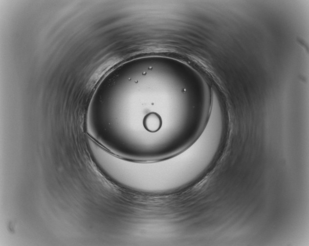 X0000103281273200808291303