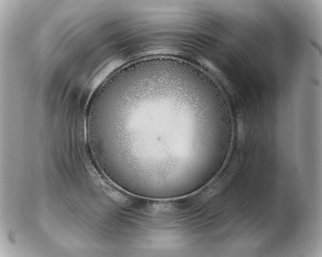 X0000103281274200808291303