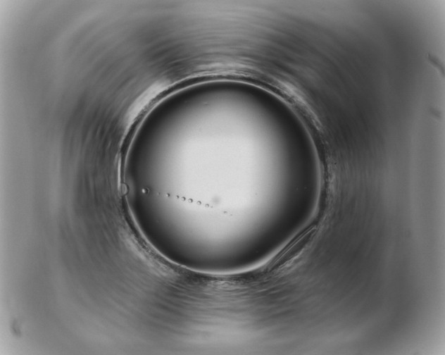 X0000103281275200808291303