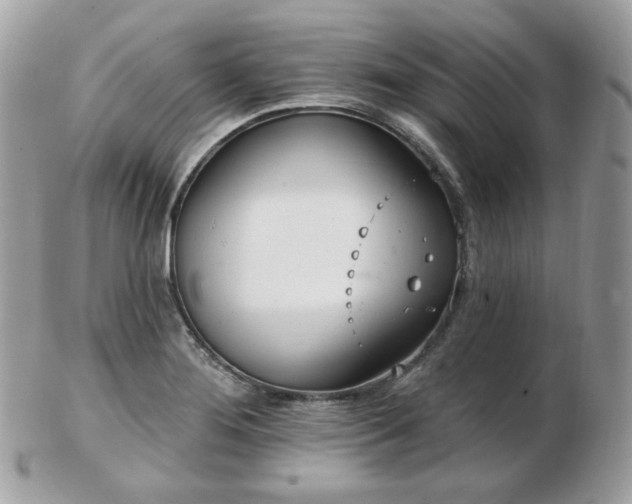 X0000103281276200808291303