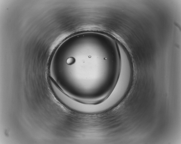 X0000103281277200808291303