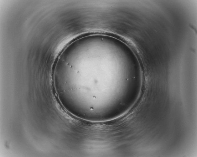 X0000103281279200808291303