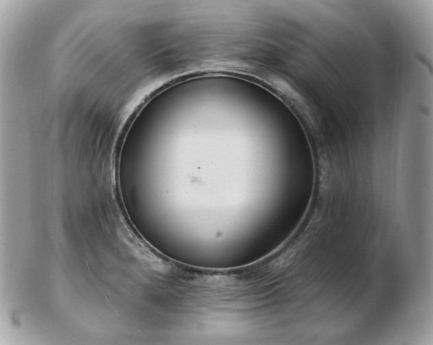 X0000103281280200808291303