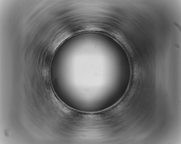 X0000103281281200808291303