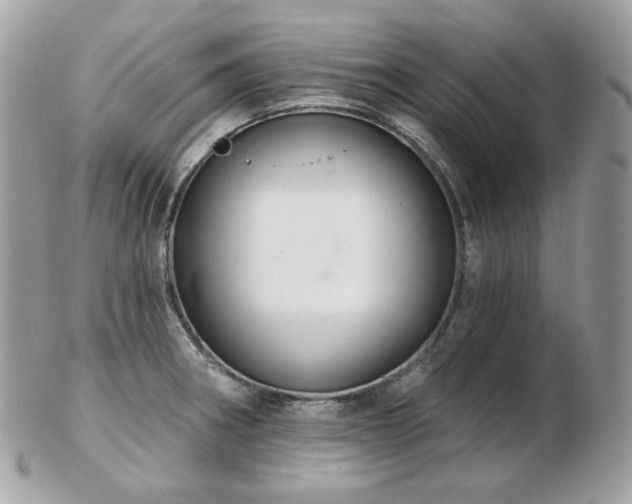 X0000103281282200808291303