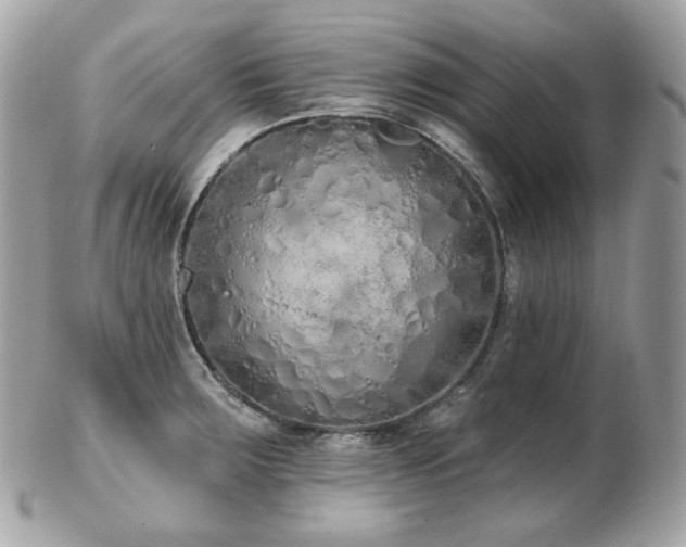 X0000103281283200808291303