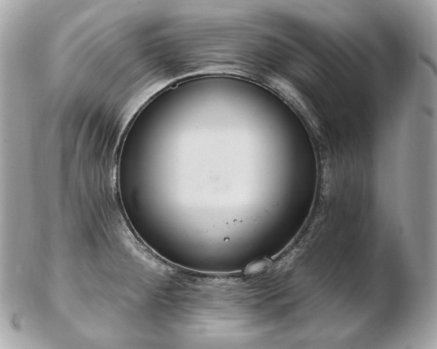 X0000103281284200808291303