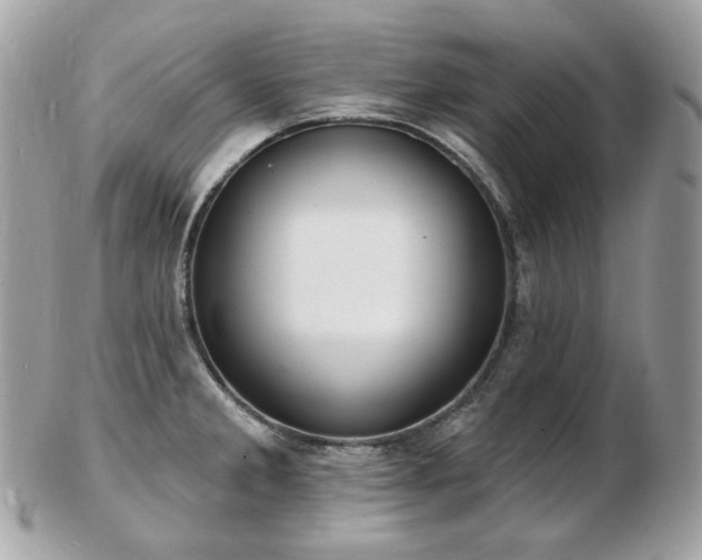 X0000103281285200808291303