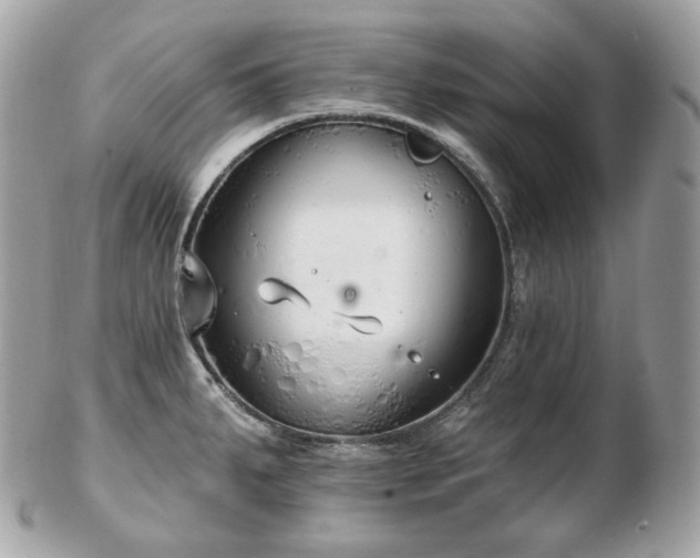 X0000103281287200808291303