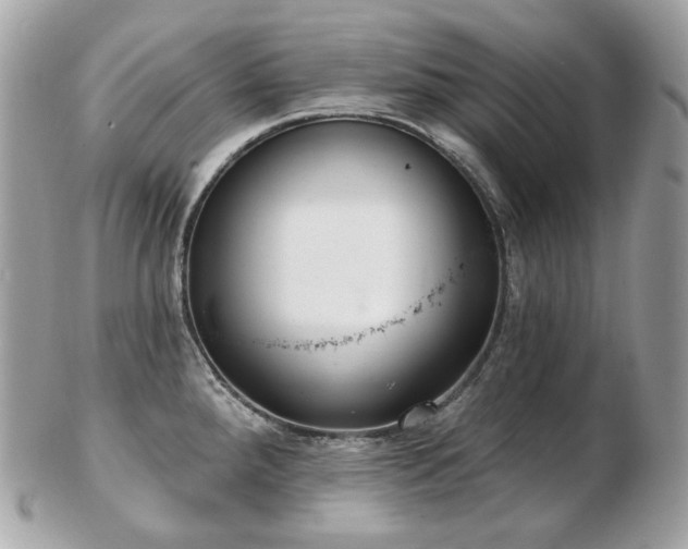 X0000103281288200808291303