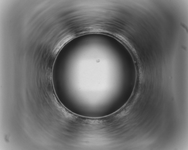 X0000103281289200808291303