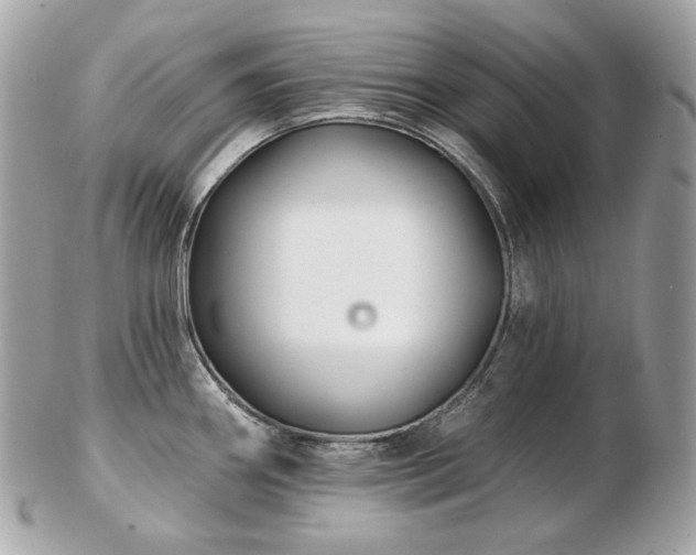 X0000103281290200808291303