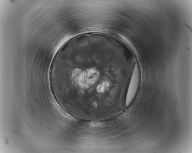 X0000103281291200808291303