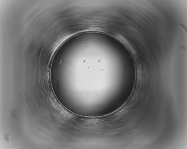 X0000103281292200808291303