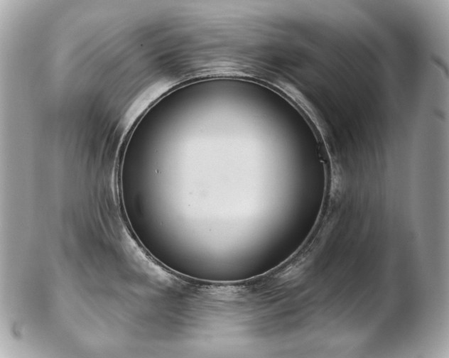 X0000103281293200808291303