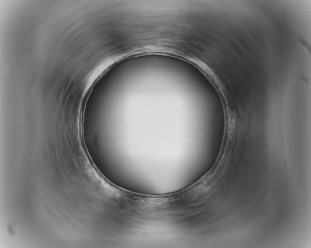 X0000103281294200808291303