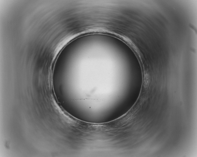 X0000103281295200808291303