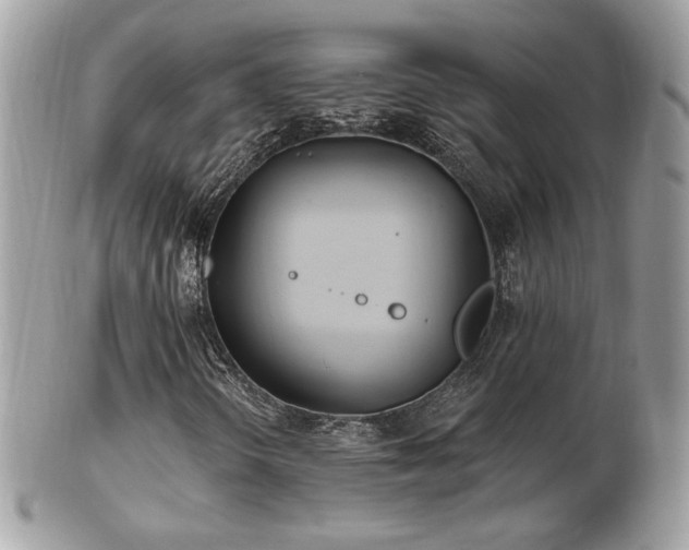 X0000103281298200808291302