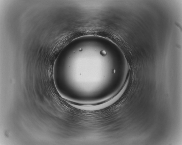 X0000103281300200808291302