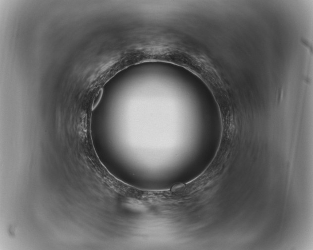 X0000103281301200808291302