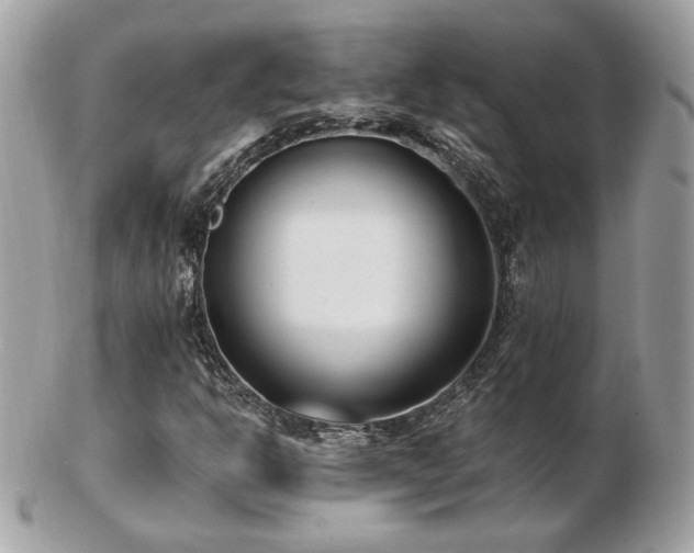 X0000103281302200808291303