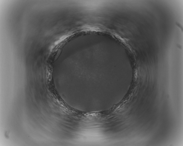 X0000103281303200808291303