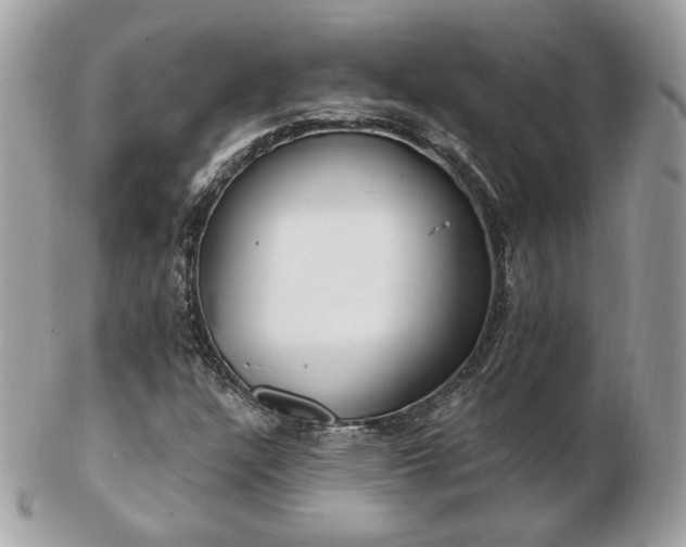 X0000103281304200808291303