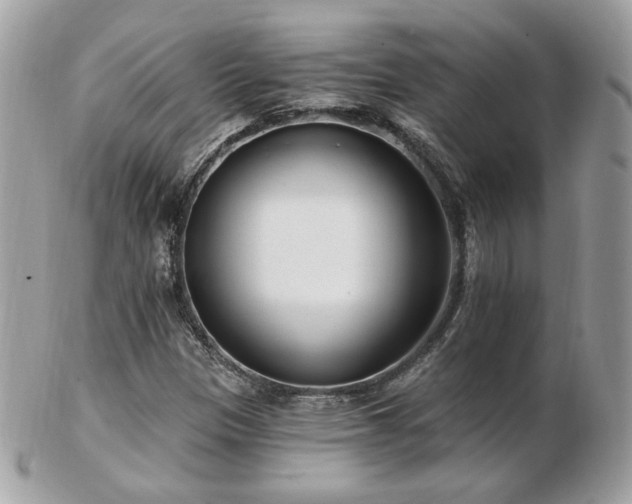 X0000103281305200808291303