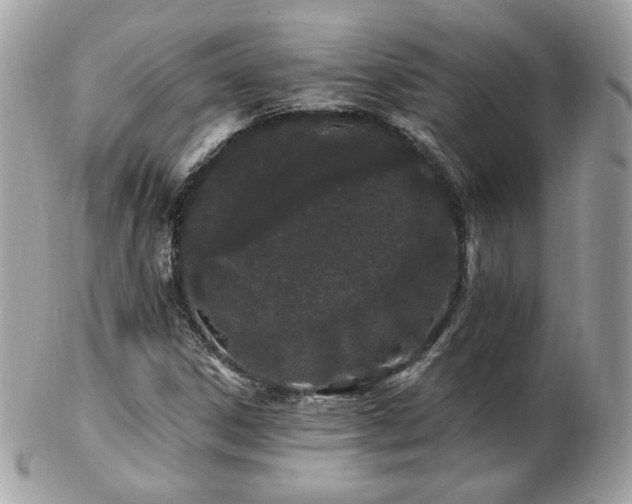 X0000103281306200808291303