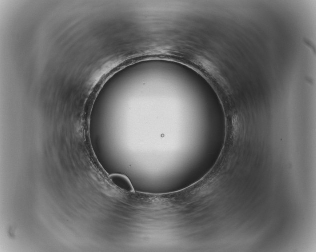 X0000103281308200808291303