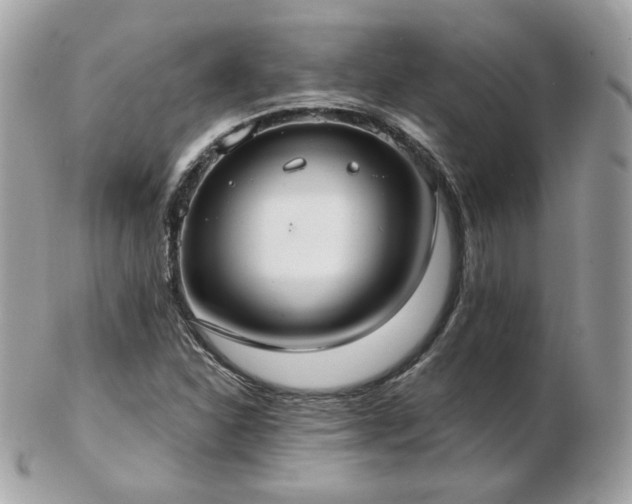 X0000103281310200808291303