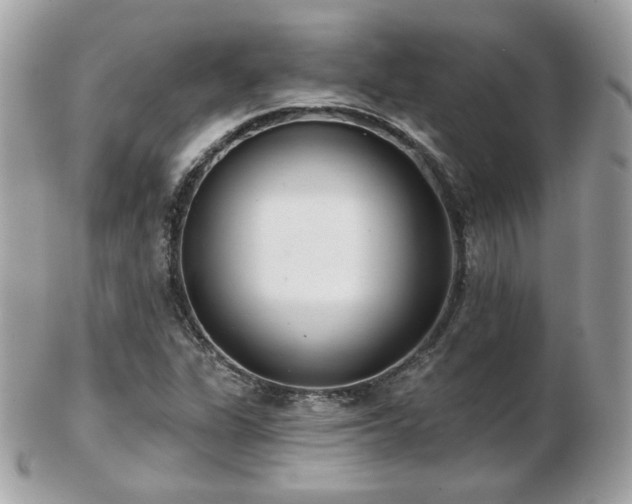 X0000103281311200808291303