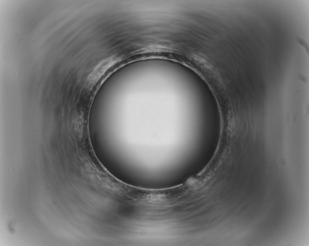 X0000103281313200808291303