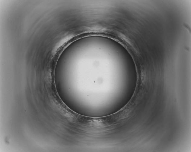 X0000103281315200808291303