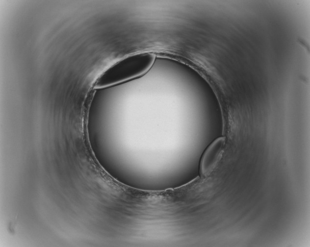 X0000103281316200808291303