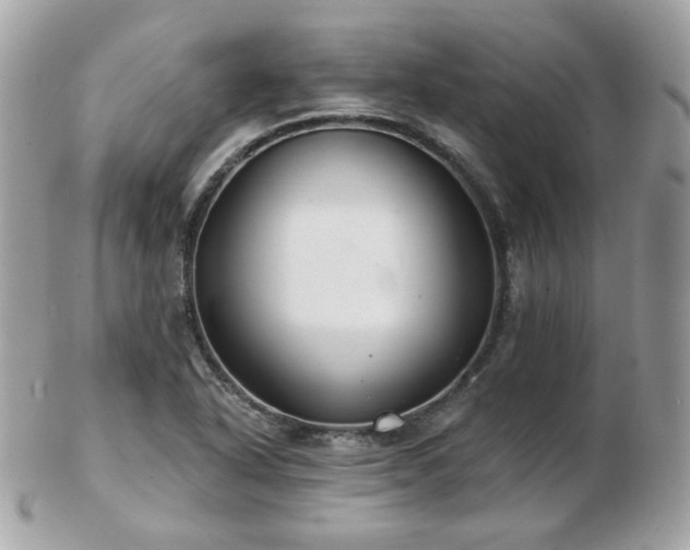 X0000103281318200808291303