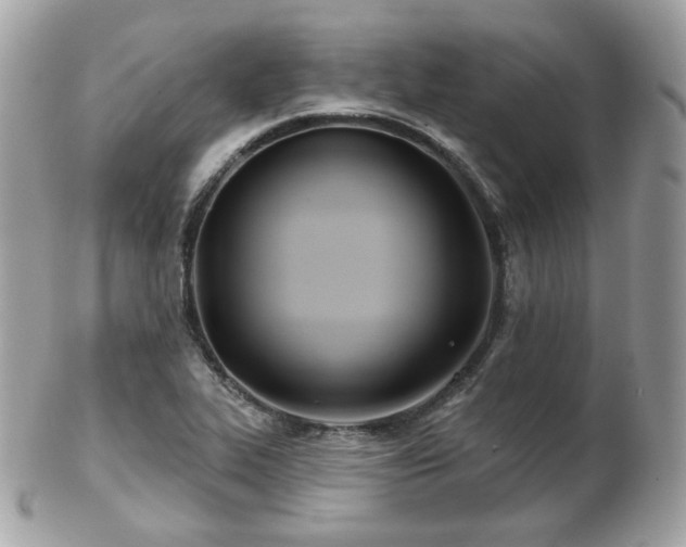 X0000103281319200808291303