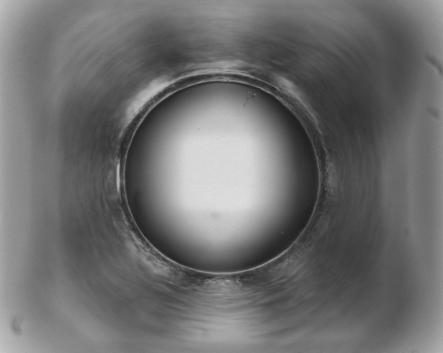 X0000103281320200808291303